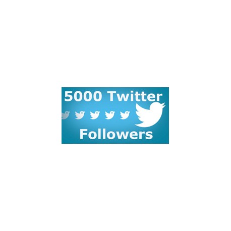 5000 Twitter Followers