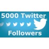 5000 Twitter Followers