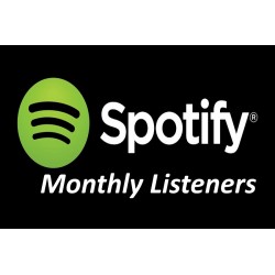 Spotify Plays Kaufen