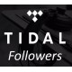 Buy Tidal Followers