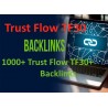 1000+ Trust Flow TF30 + Backlinks