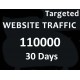 Webseite Traffic