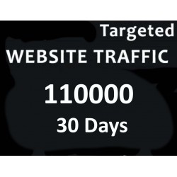 Pro Tag 1000+ USA unbegrenzt Website - Traffic für 3 Monate