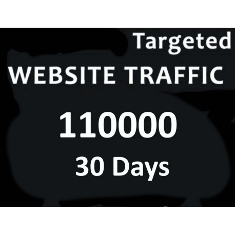 Pro Tag 1000+ USA unbegrenzt Website - Traffic für 3 Monate