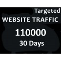 Pro Tag 1000+ USA unbegrenzt Website - Traffic für 3 Monate