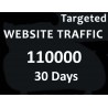 Pro Tag 1000+ USA unbegrenzt Website - Traffic für 3 Monate
