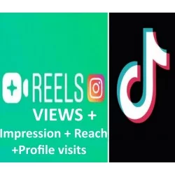 Instagram Reel Views + Impressions + Profile Visits + Reach Kaufen