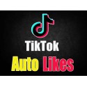TikTok Automatic Likes kaufen