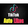 TikTok Automatic Likes kaufen
