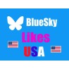 USA BlueSky Likes Kaufen