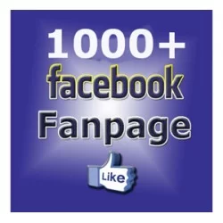 FACEBOOK PAGE LIKES KAUFEN