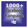 1000+ FACEBOOK FANPAGE LIKE