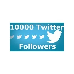 10000 Twitter Followers